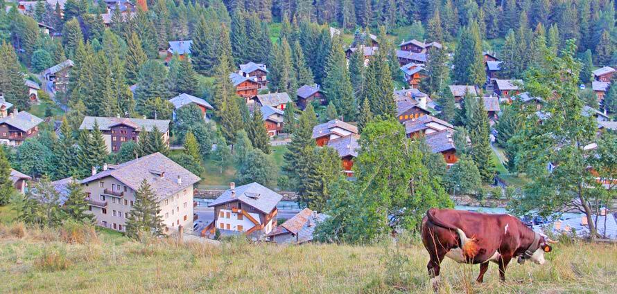 Champoluc