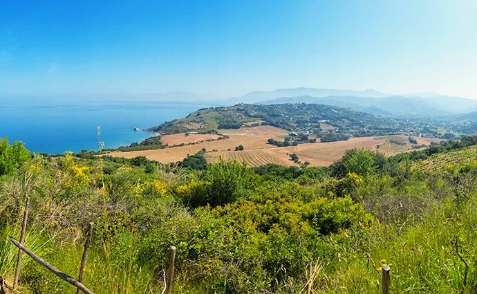 Cilento