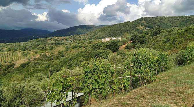 Nationalpark Cilento und Valle Diano