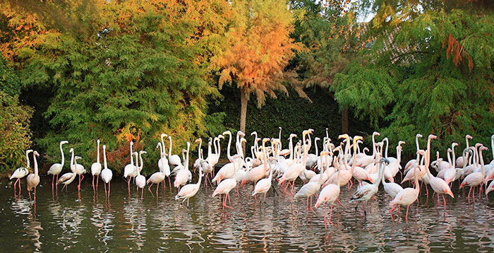 Lignano Sabbiadoro - Parco Zoo Punta Verde Lignano Sabbiadoro - Parco Zoo Punta Verde