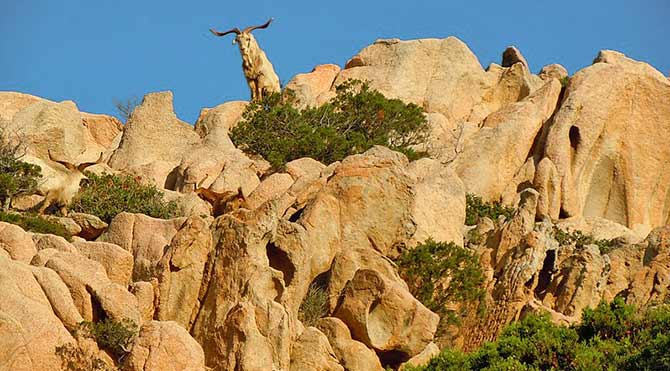 Nationalpark La-Maddalena-Archipel