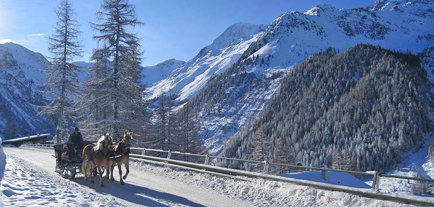 Ortler Skirarena - Kutschfahrt im Winterurlaub