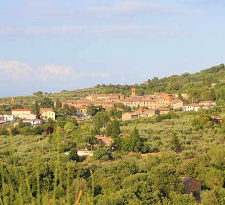 Paciano - Panorama