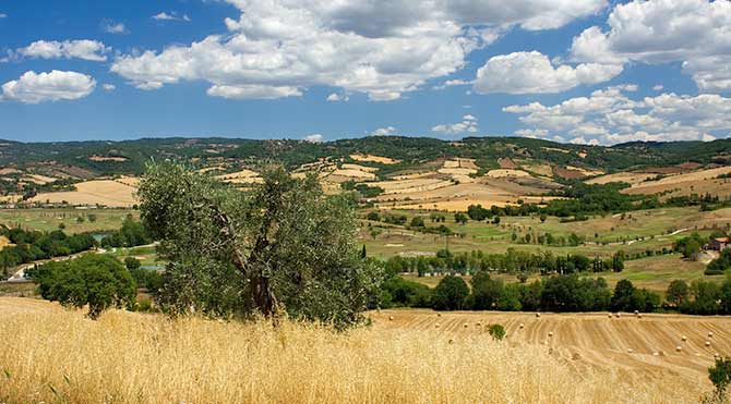 Nationalpark Maremma