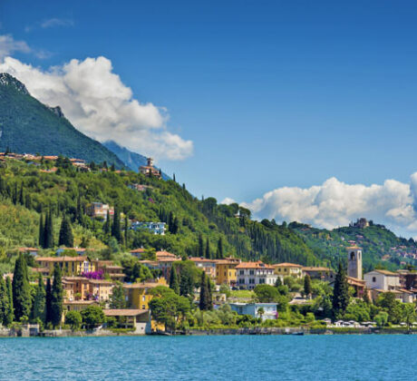 Tremosine