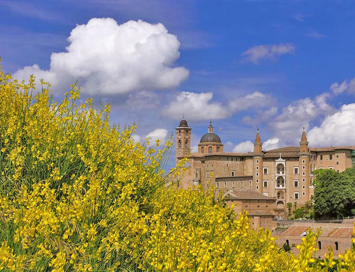 Urbino 