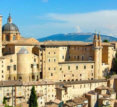 Urbino