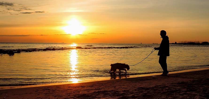 Urlaub mit Hund in Italien