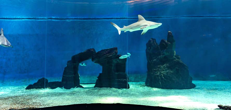 Aquarium Genua