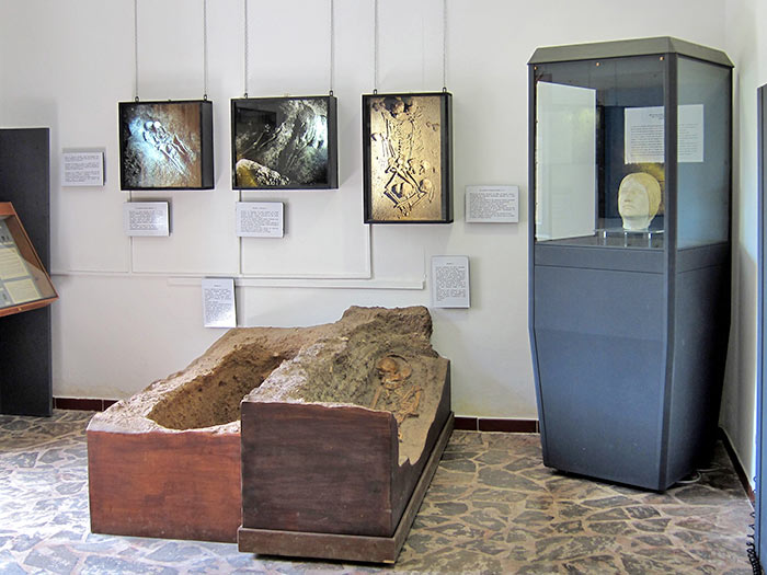 Grotta del Romito - Museum 
