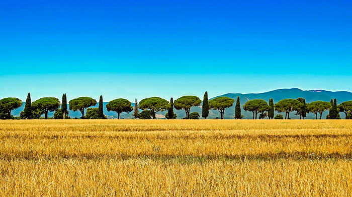 Urlaub in Italien - Toskana