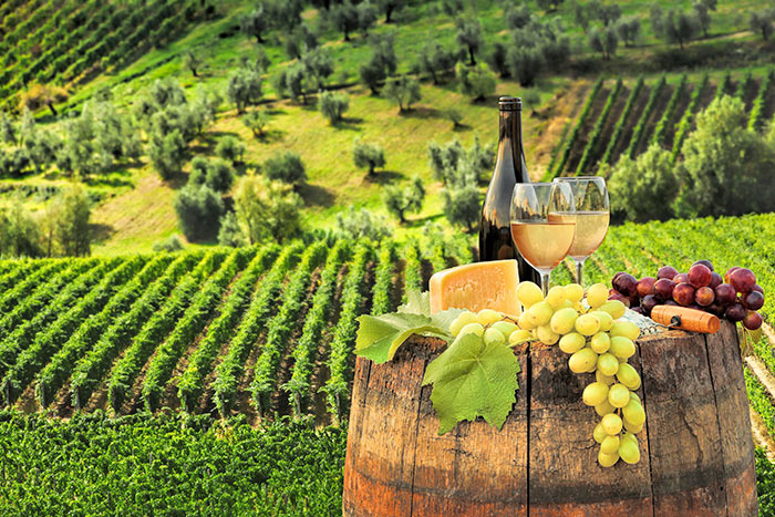 Weinberge im Chianti Weinberge im Chianti