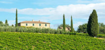 Ferienhäuser und Ferienwohnungen in Gaiole in Chianti